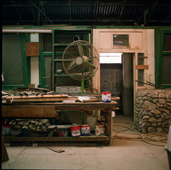 The Fan