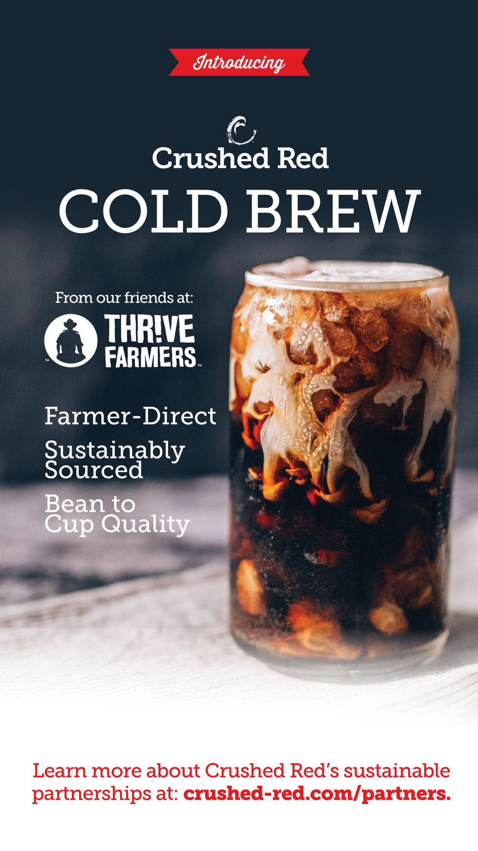 Cold Brew Promo