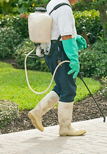 Pest Control_edited.jpg