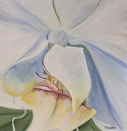 THE ORIGINAL IS AVAILABLE FOR PURCHASE 