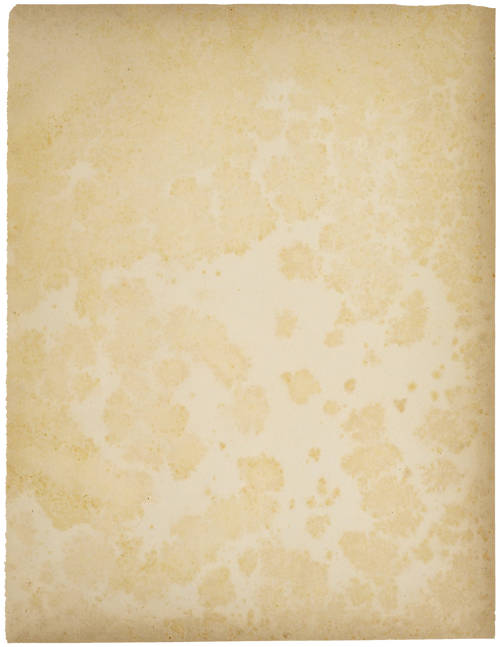 Blank Book Page 02.png