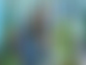 Liziane partidicpa da intalação da Frente Parlamentar em Defesa do Empreendedorismo Gaúcho