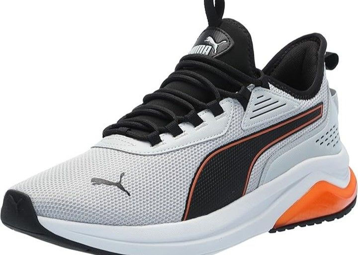Thumbnail: Puma Amplifier