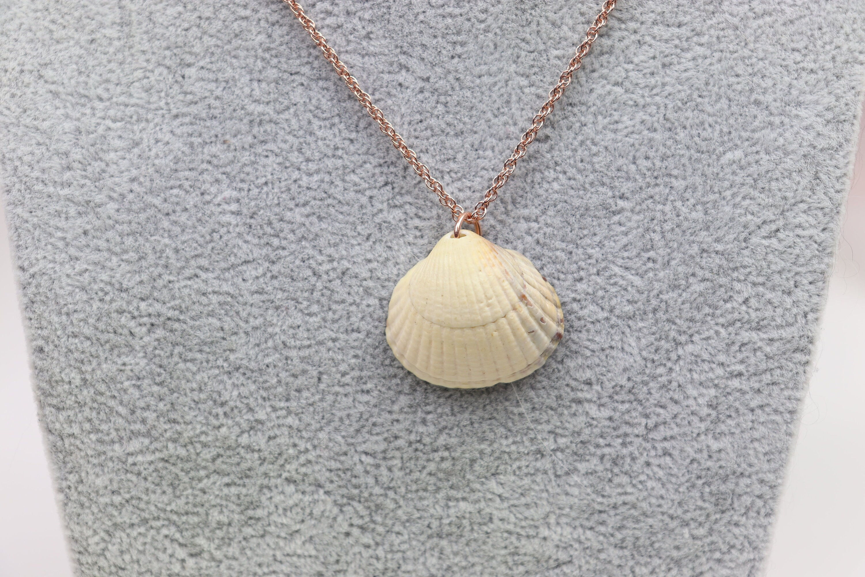 Rose Gold Seashell Necklace