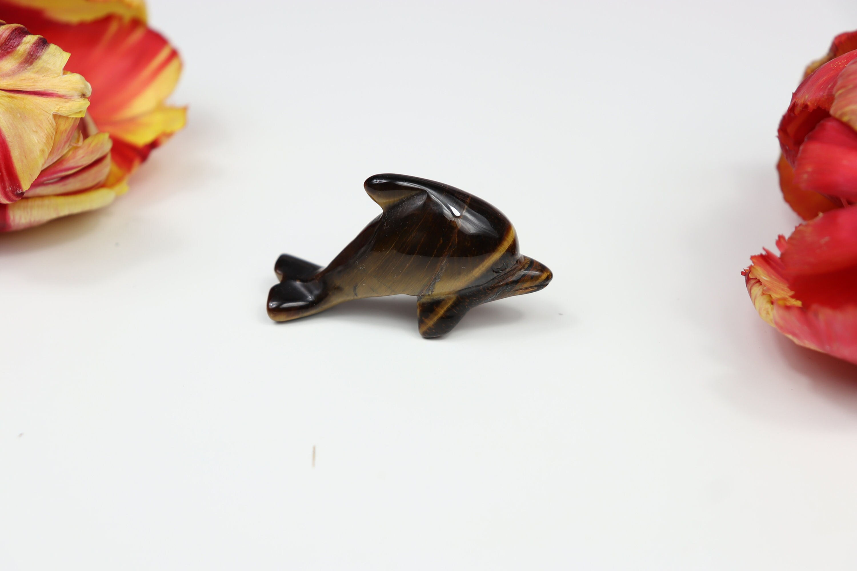 Tigers Eye Dolphin