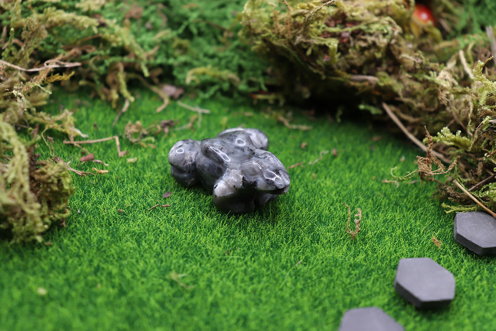 Thumbnail: Larvikite frog