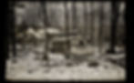 Van Zandbergen_K_2280