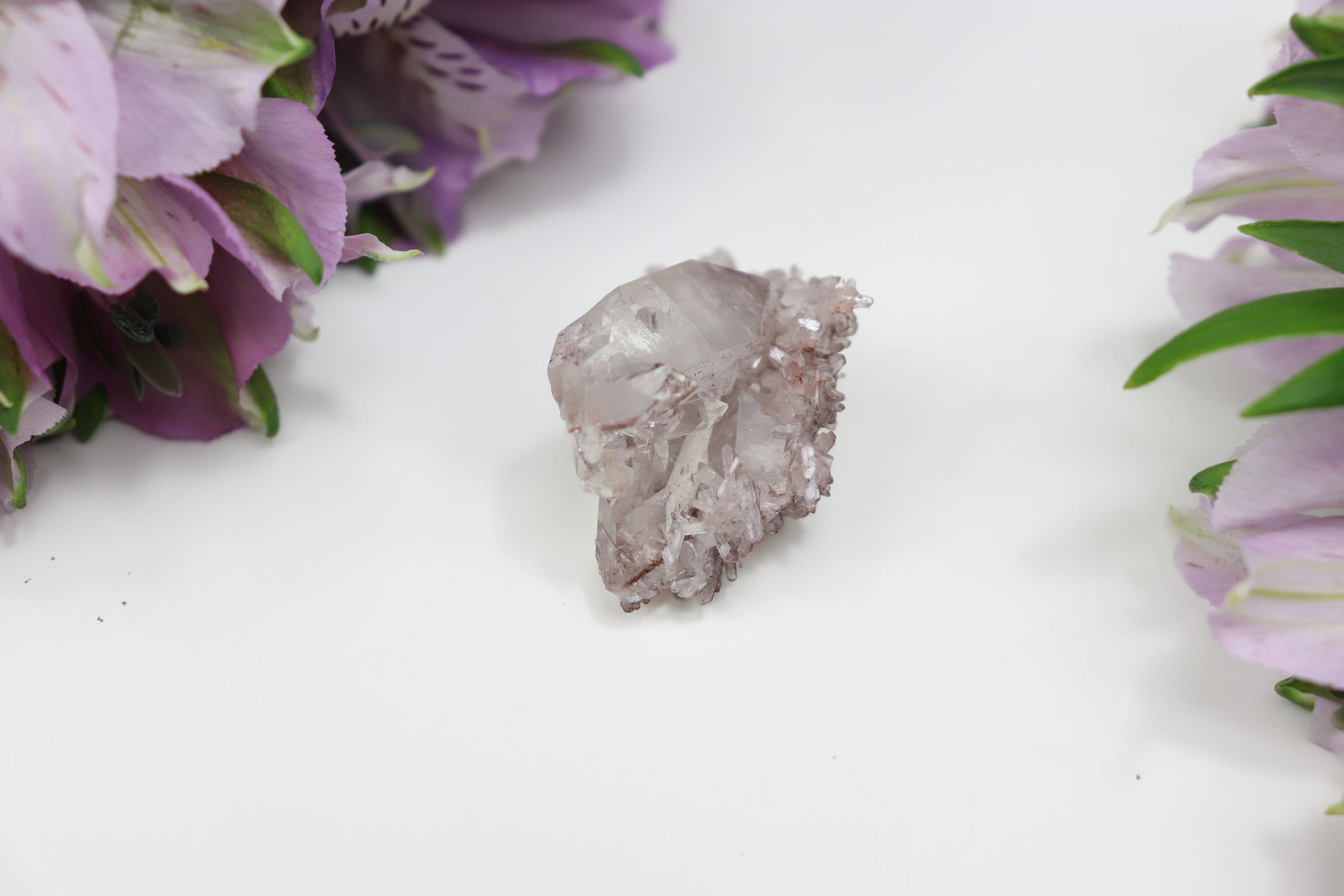 Apophyllite On Druzy Red Chalcedony With Hematite Coating D