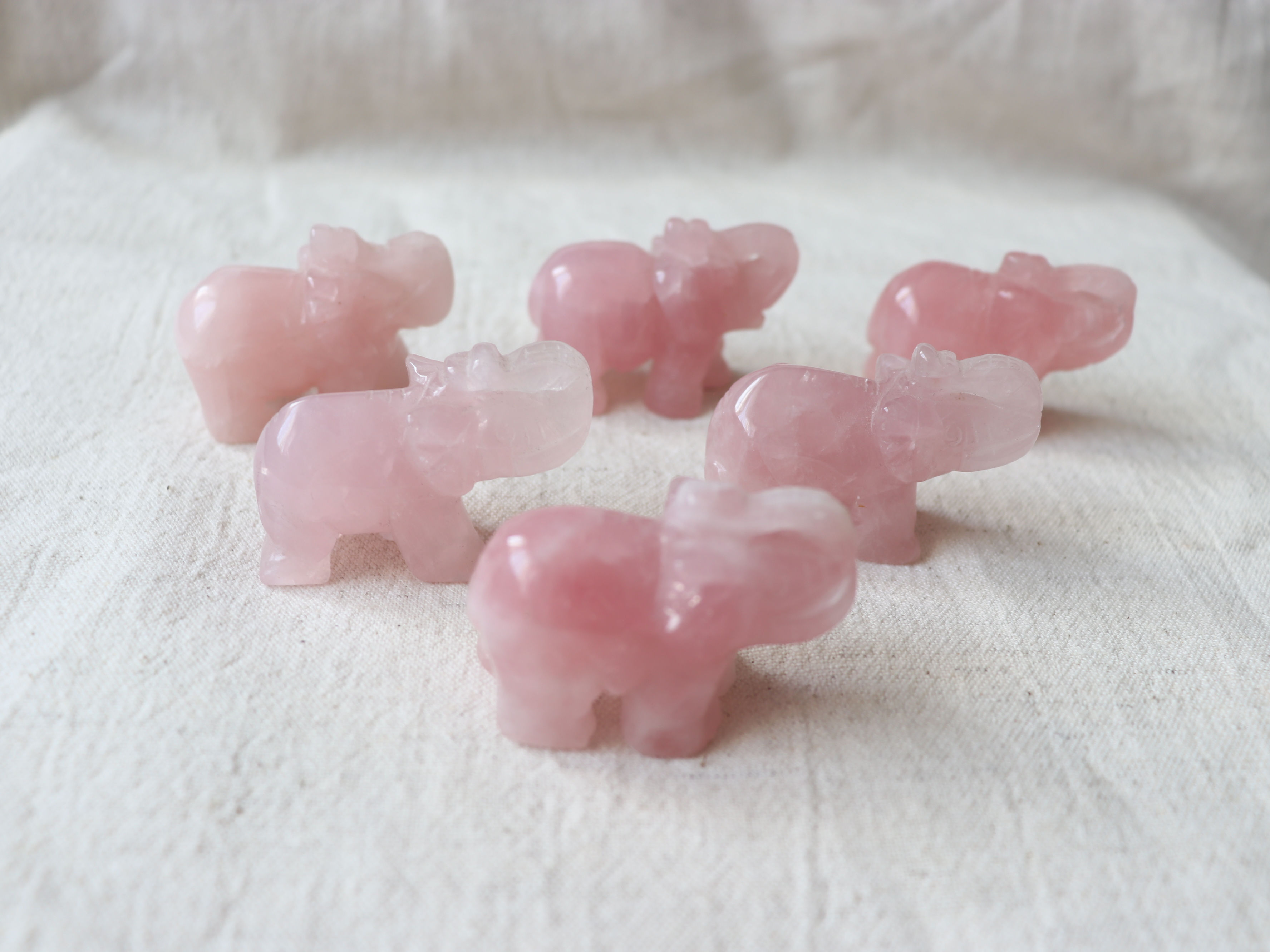 A group view of 6 rose quartz elephants