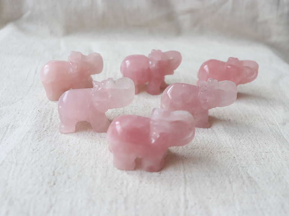 A group view of 6 rose quartz elephants