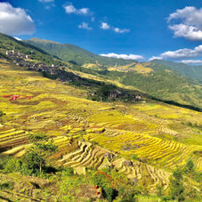 告诉我，如何从梦境醒过来