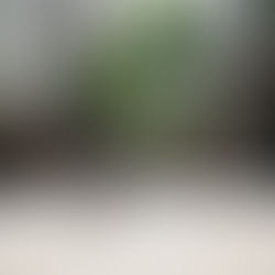 矗立在水平线上的感动