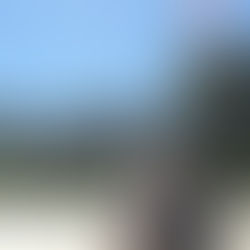 AZWOA Went to Washington