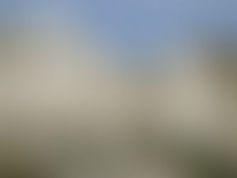 Presidents of Revolution, Revival, and the American ‘Brand’