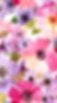 floral wallpaper