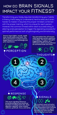 G3 neurohealth one-sheet