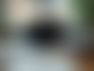 Trovare consulente lavoro Roma: guida completa per una scelta consapevole