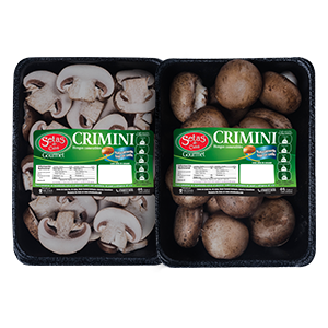CRIMINI