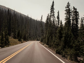 La ruta de nuestra vida