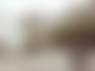 A Memorable Family Holiday at Haven's Wild -Belton, Norfolk a Family Weekender with Haven Holidays