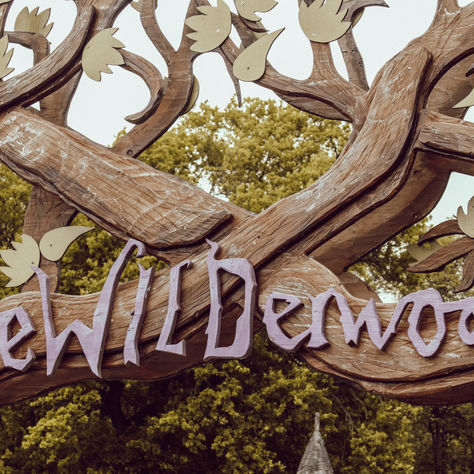 BeWILDerwood: Unleashing Adventure and Imagination in Norfolk