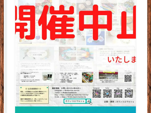 8月カランコエ