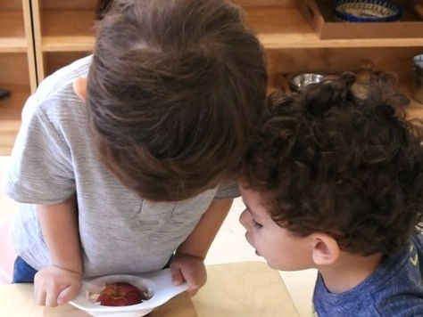 Wonder. Year 4 | Session 1 | Week 1