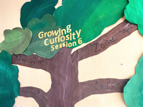 Discovery / Year 4 / Session 6 / Week 1