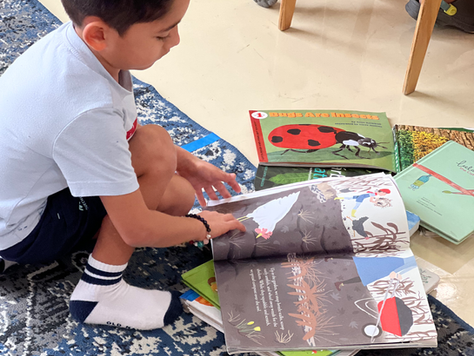 Spark. Year 4 | Session 2 | Week 3