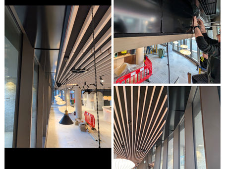 Hotel Indigo | The Forum