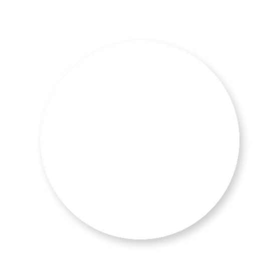 white-circle-free-png.webp