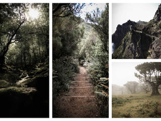 Madeira - Meeresrauschen meets Bergpanorama