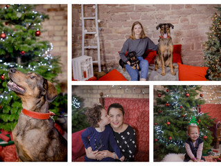 Merry Christmas(shoot)