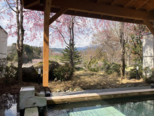 『楽楽の湯』でお花見🌸