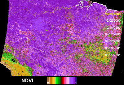 Modis NDVI