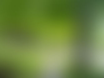 3 Reasons why I love adventures in Traverse City, Michigan