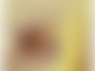 L’Oiseau de Lumière 