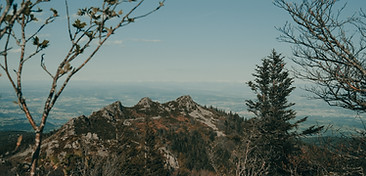 DSCF4162.jpg