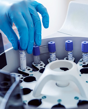 Laboratorio veterinario