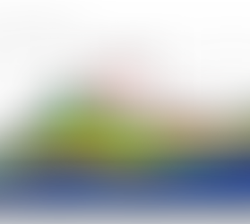 VERS L'EURO NUMÉRIQUE EN RENFORT DE LA ZONE