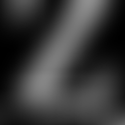 L'UE FACE À LA DÉRIVE DU SYSTÈME DÉMOCRATIQUE AMÉRICAIN 