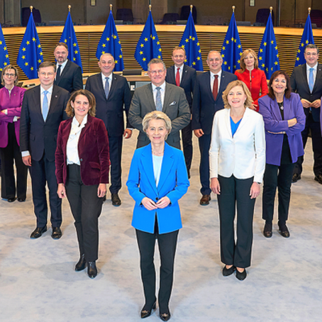 L'INDÉPENDANCE DES MEMBRES DE LA COMMISSION 