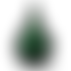 LE CONSEIL EUROPÉEN ET L'ARBRE DE NOËL