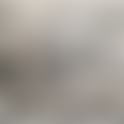 DES ÉTATS UNIS D'EUROPE  Réflexions imaginaires de James Madison 