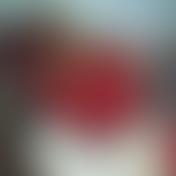 "A SINGLE MARKET CZAR"