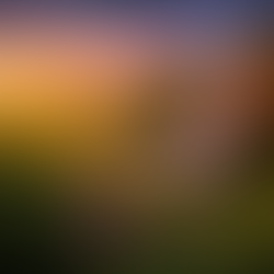 LA CANDIDATURE ISLANDAISE ET L'AGGIORNAMIENTO DE L'UE