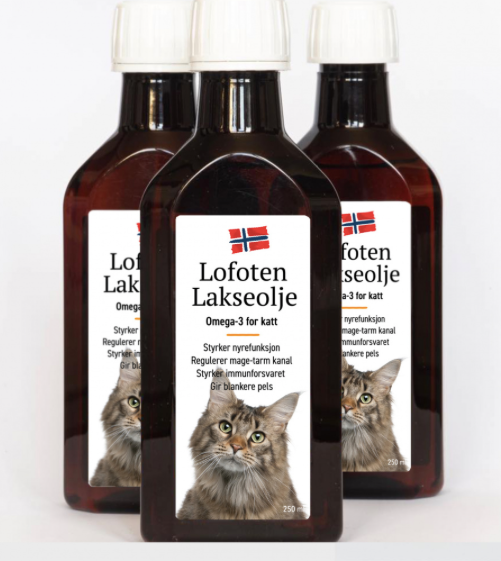 Burde din katt få tilskudd av Omega3? Vi ser på hva Omega3 er og hva