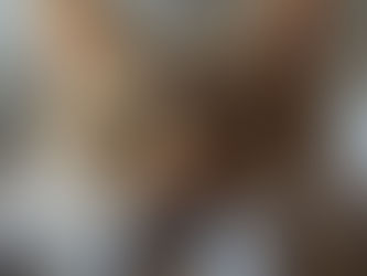 Pica hos katt – når katten spiser det den ikke skal