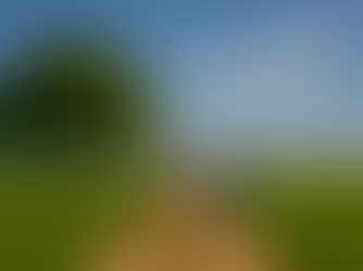 Stand Firm in Christ's Work