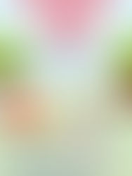 Stake Family BBQ Activity